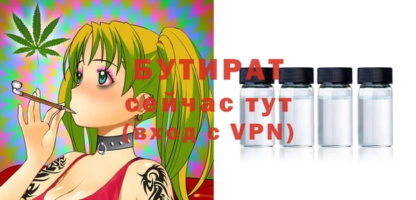 индика Волоколамск