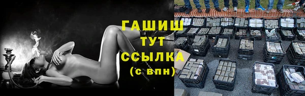 индика Волоколамск