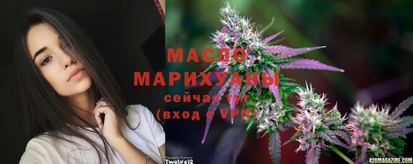 индика Волоколамск