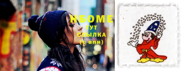 индика Волоколамск