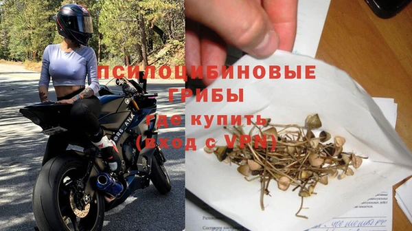 индика Волоколамск