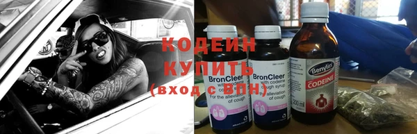 индика Волоколамск