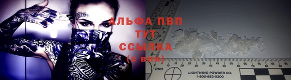 индика Волоколамск