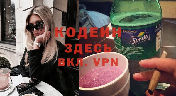 индика Волоколамск