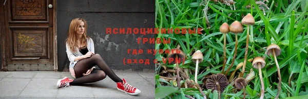 ALPHA PVP Володарск