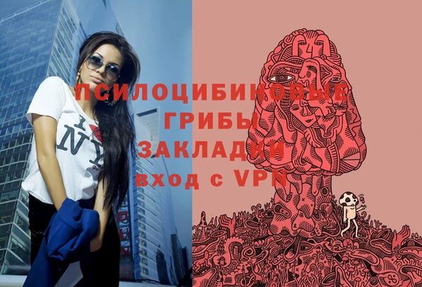 индика Волоколамск
