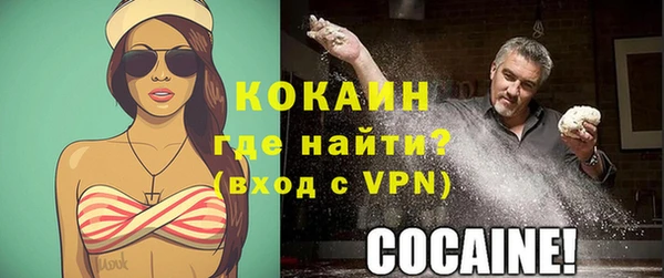 индика Волоколамск