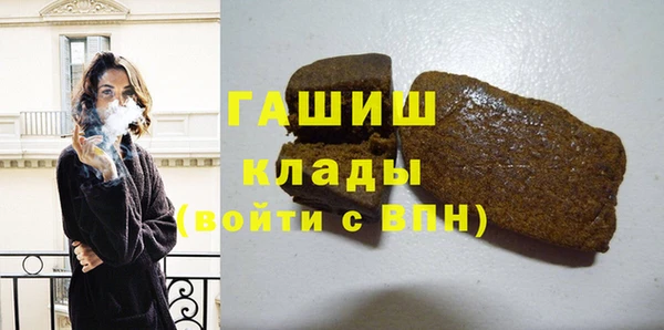 индика Волоколамск