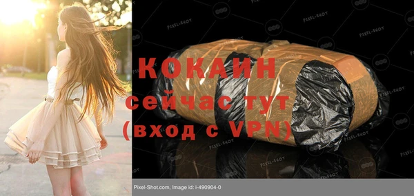 индика Волоколамск