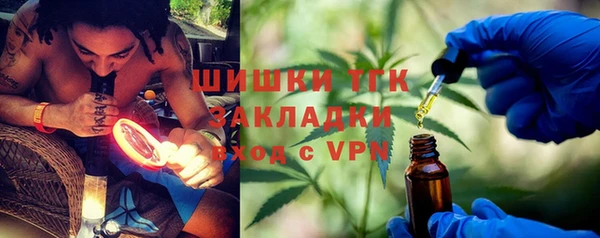 индика Волоколамск